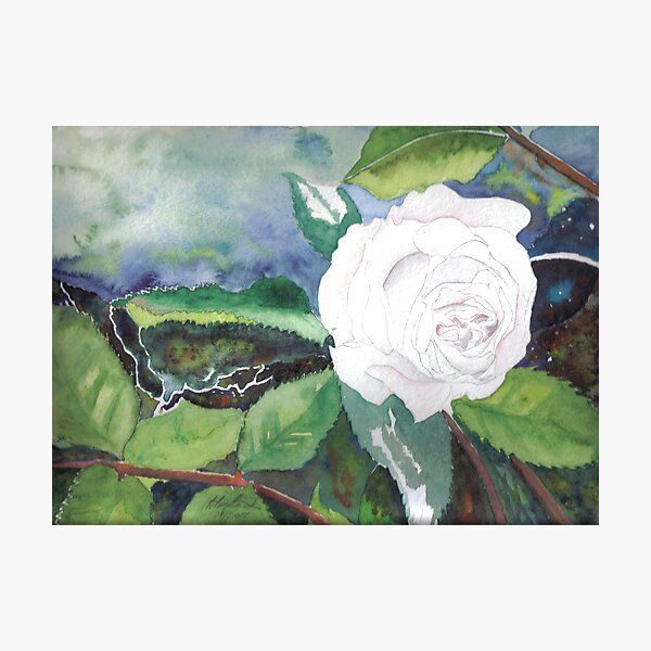 White Rose of Virginity Photographic Print