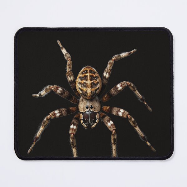 Item preview, Realistic Spider designed and sold by Jaro90.