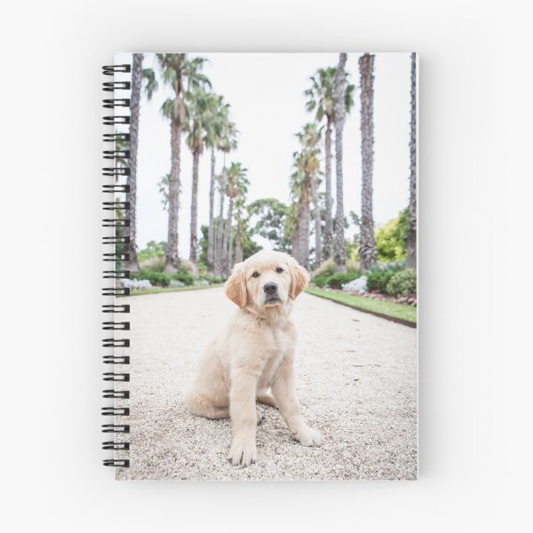 Item preview, Labrador Puppy designed and sold by ManwithaCamera.