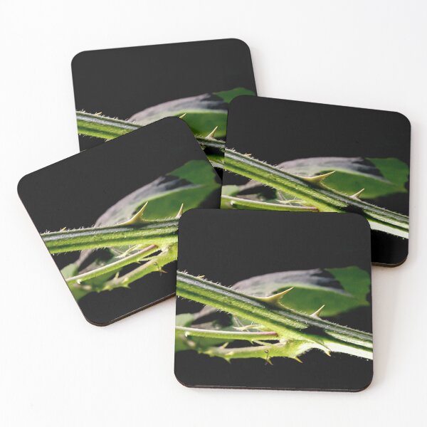 Item preview, Thorns Hurt When You Grab Them designed and sold by Philip-F-Webb.