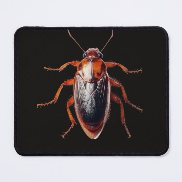 Item preview, Realistic Cockroach designed and sold by Jaro90.