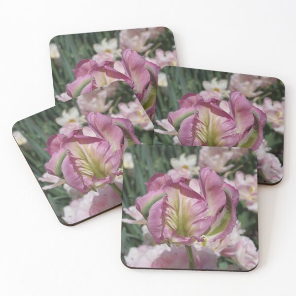 Artikelvorschau, Rosa Tulpen entworfen und verkauft von Bloom-N-Blossom.