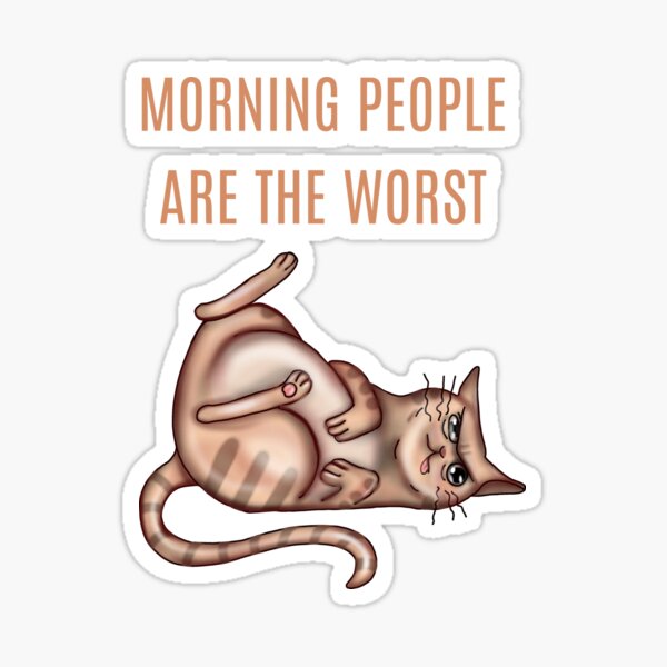 Cat Cats Sticker - Cat Cats Cat lady - Discover & Share GIFs