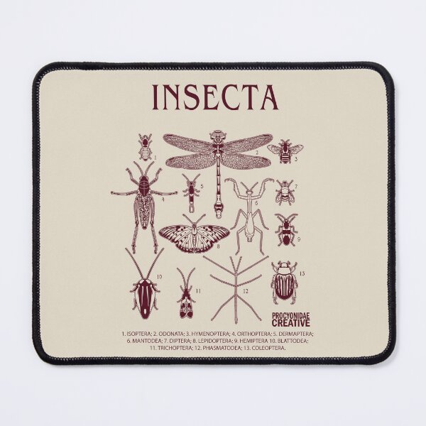 Item preview, Insecta designed and sold by Procyonidae Creative.