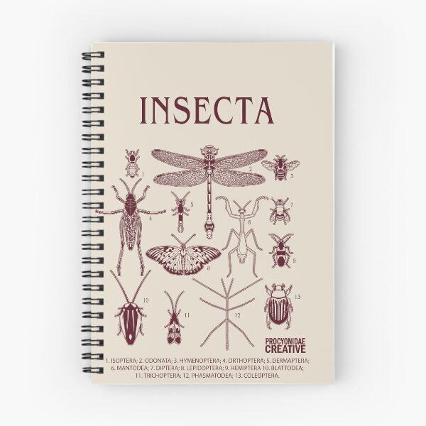 Item preview, Insecta designed and sold by Procyonidae Creative.