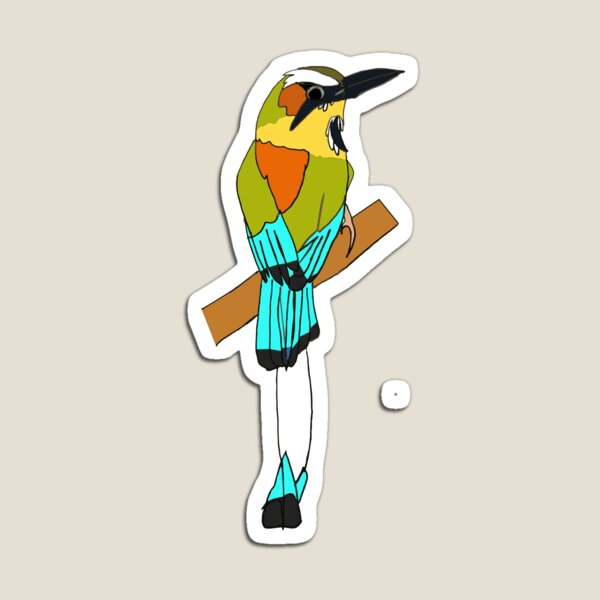Turquoise-Browed Motmot Magnet