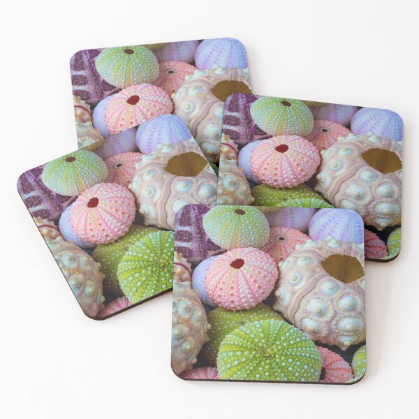 Item preview, Wondefful Varity Of Sea Urchins designed and sold by Garry Gay.