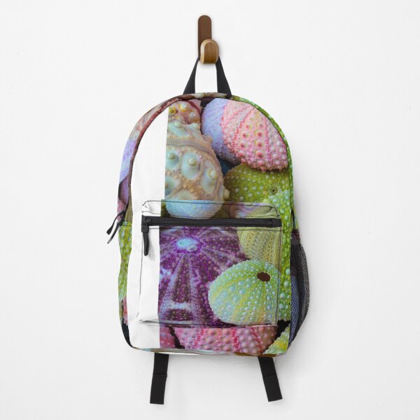 Item preview, Wondefful Varity Of Sea Urchins designed and sold by Garry Gay.