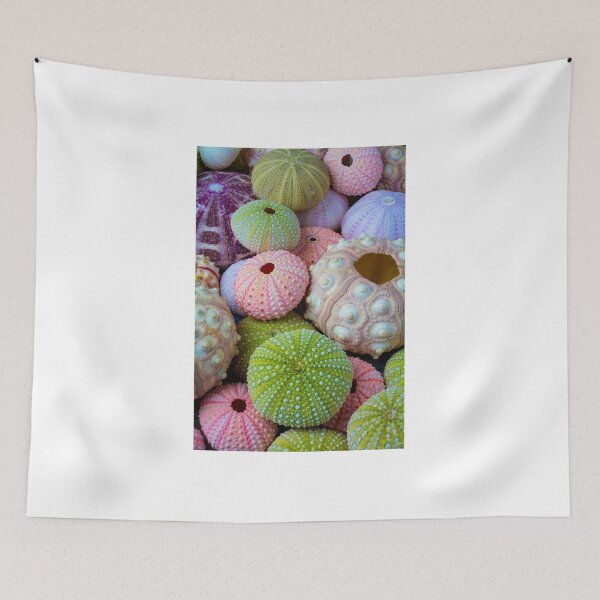 Item preview, Wondefful Varity Of Sea Urchins designed and sold by Garry Gay.
