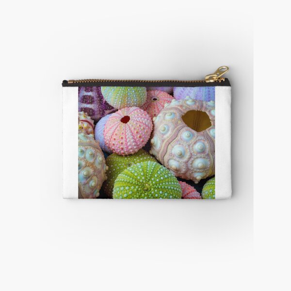 Item preview, Wondefful Varity Of Sea Urchins designed and sold by Garry Gay.