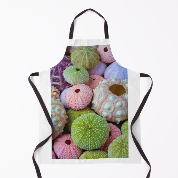 Item preview, Wondefful Varity Of Sea Urchins designed and sold by Garry Gay.