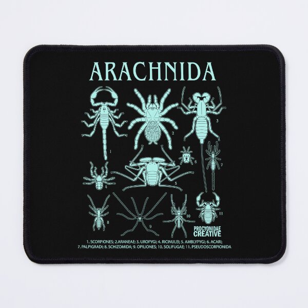 Item preview, Arachnida designed and sold by Procyonidae Creative.