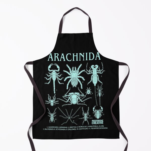 Item preview, Arachnida designed and sold by Procyonidae Creative.