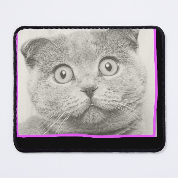 Item preview, Cat-titude: I Do What I Want designed and sold by CoalCityChris.