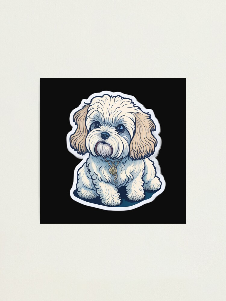 "Maltese (Sticker and Print Out)" Photographic Print for Sale by