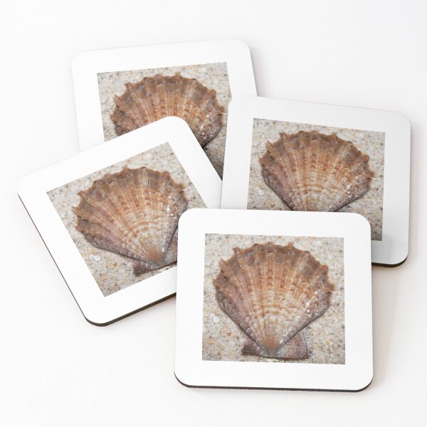 Item preview, Scaeochlamys livida  designed and sold by Shellgirlpearl.