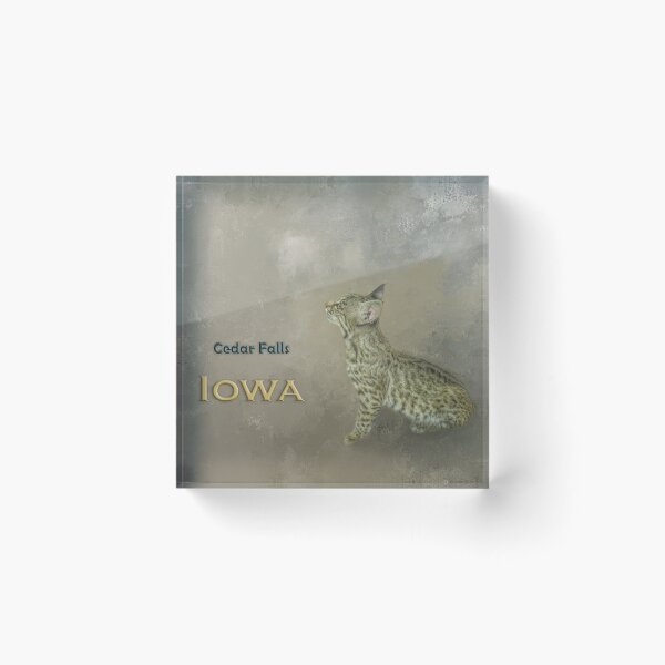 Item preview, Bobcat Cedar Falls  Iowa designed and sold by Elisabeth Lucas.