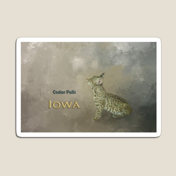 Item preview, Bobcat Cedar Falls  Iowa designed and sold by Elisabeth Lucas.