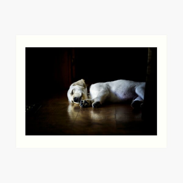 In Dreams by Roy Orbison Art Print