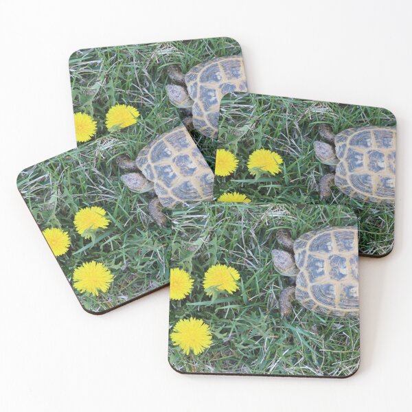 Item preview, The Tortoise and the Dandelions designed and sold by LisaNaturePhoto.