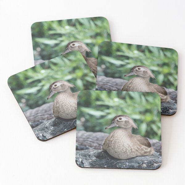 Item preview, Mrs. Wood Duck designed and sold by utakloss.
