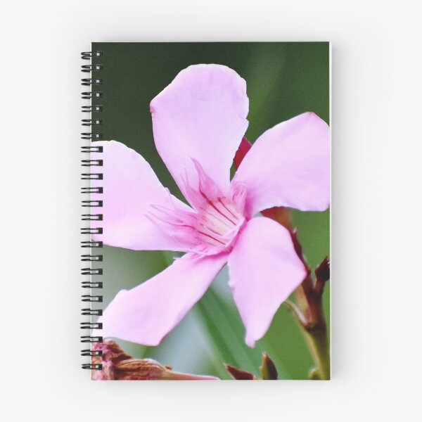 Item preview, Beautiful snap of pink flower designed and sold by Rav33822.