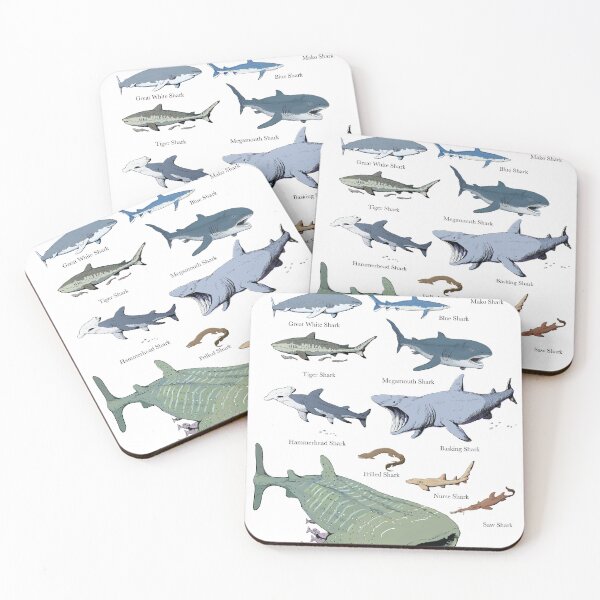 Item preview, Shark chart illustration designed and sold by ScienceSource.