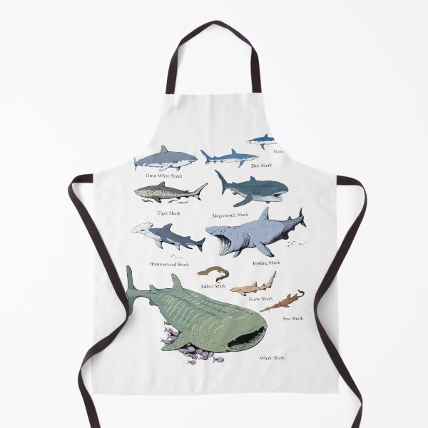 Item preview, Shark chart illustration designed and sold by ScienceSource.