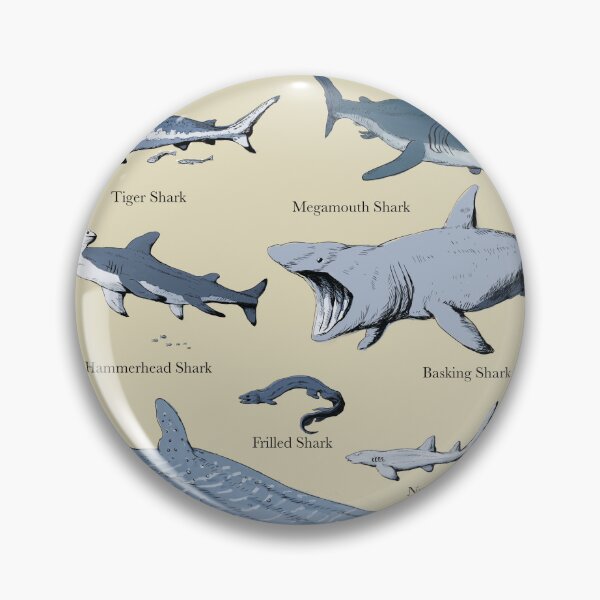 Item preview, Shark chart illustration designed and sold by ScienceSource.