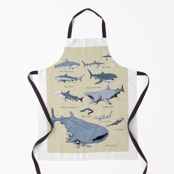 Item preview, Shark chart illustration designed and sold by ScienceSource.