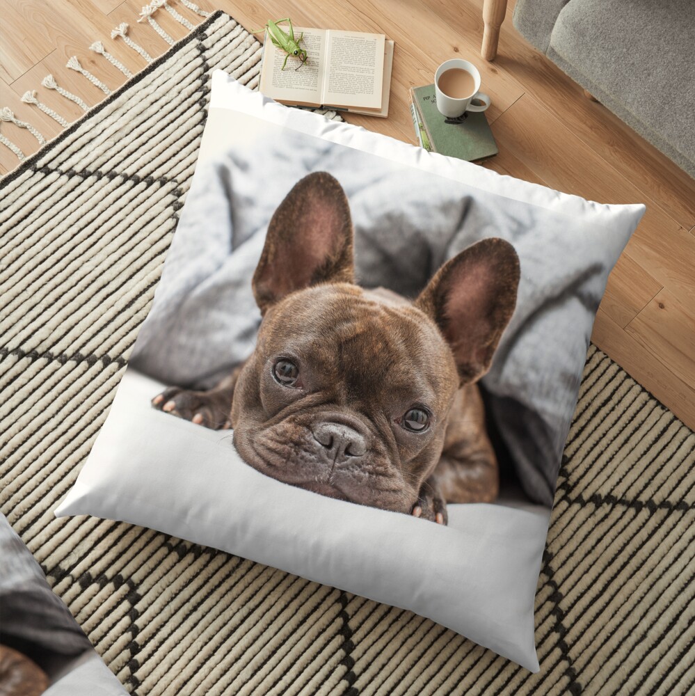 French Bulldog Floor Pillow