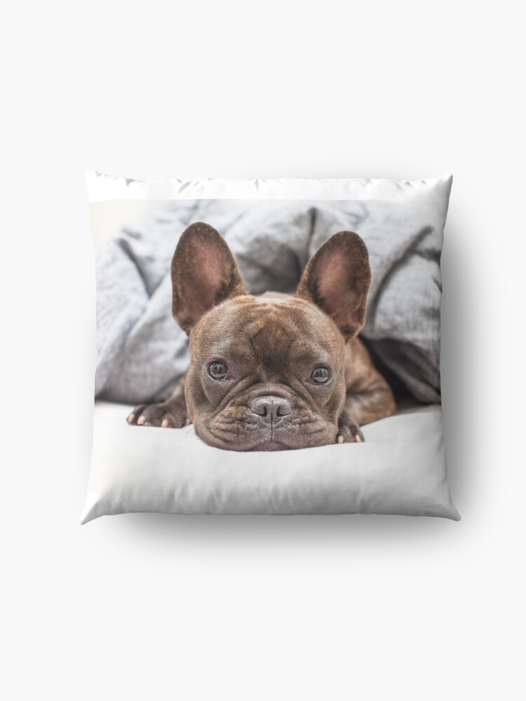 Alternate view of French Bulldog Floor Pillow