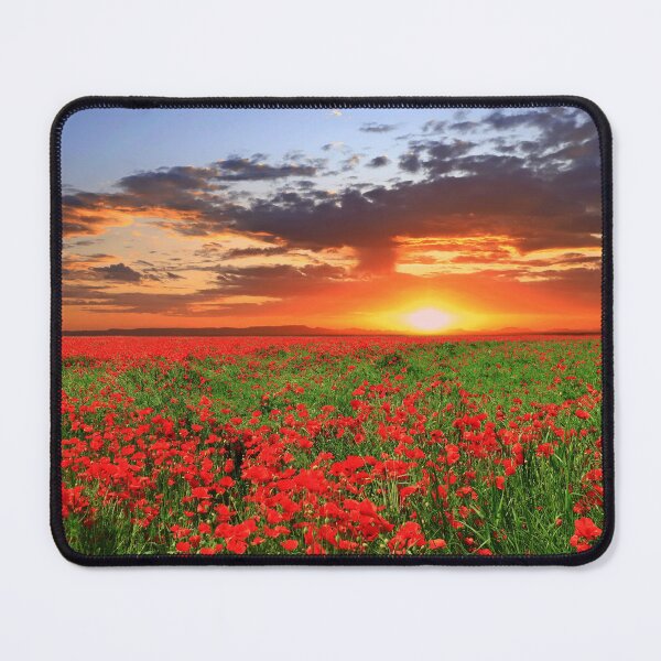 Item preview, Poppies at sunset designed and sold by annalisa56.