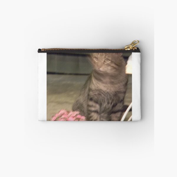 Item preview, NO CAT FOOD? Surely you jest..... designed and sold by Navigator.
