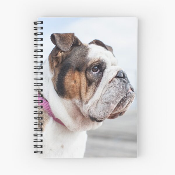 Item preview, Bulldog británico designed and sold by ManwithaCamera.
