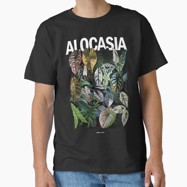 Item preview, ALOCASIA JUNGLE Variegated designed and sold by MYPLANTEES.