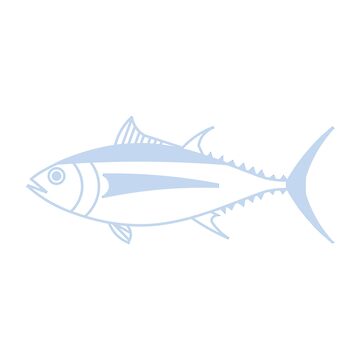  Albacore Tuna Beautiful Fish Decal