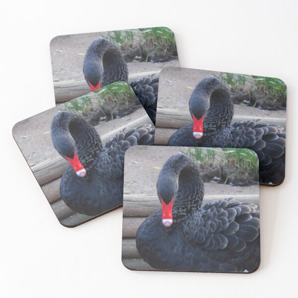 Item preview, Billy the Swan designed and sold by EyeMusic.