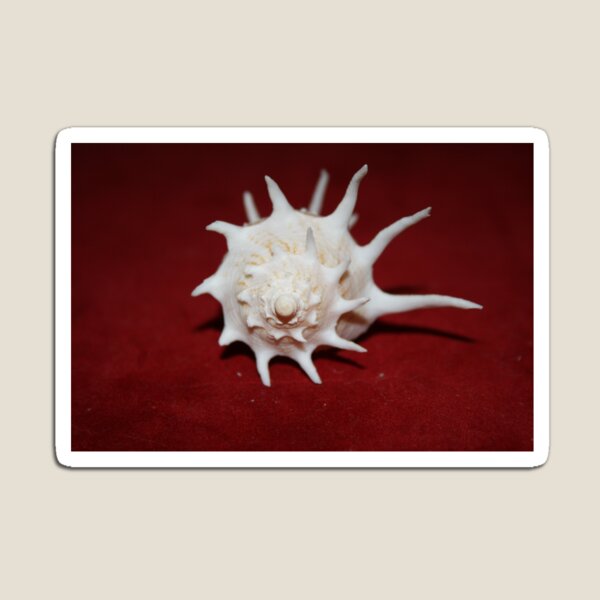 Item preview, The Armoured Tudicula designed and sold by Shellgirlpearl.