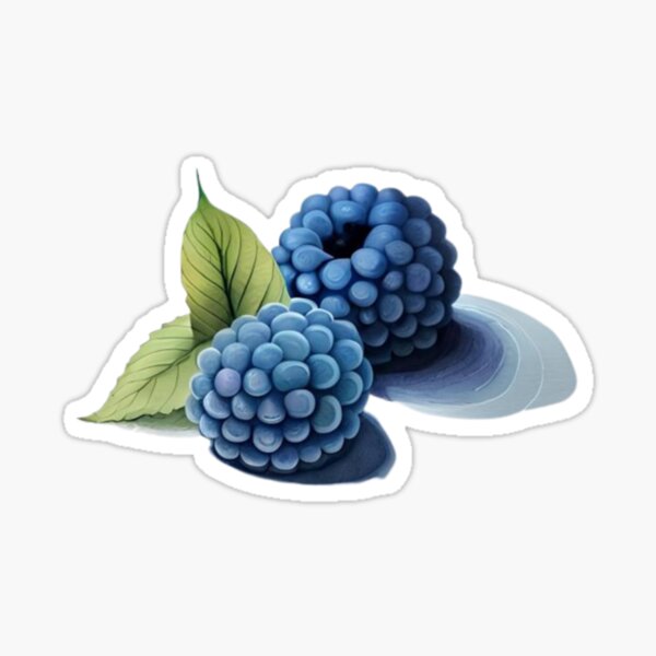 Artikel-Vorschau von Aquarell blaue Himbeeren mit Blättern, designt und verkauft von MyStickeroonies.
