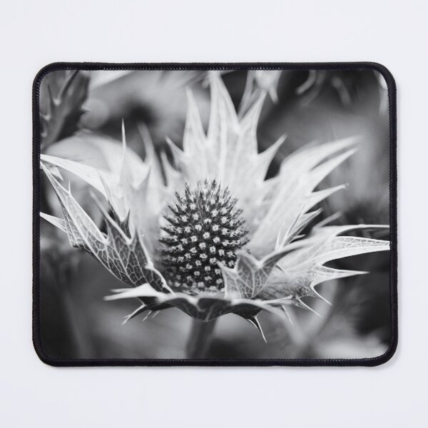 Item preview, Sea Holly Black And White designed and sold by Tanya C Smith.