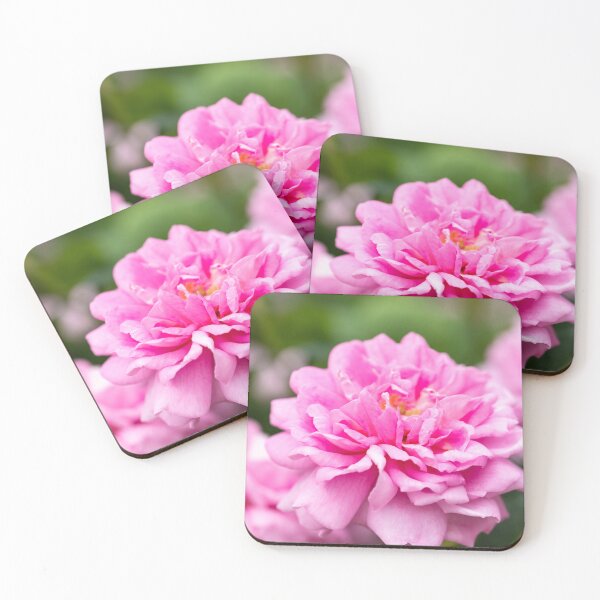 Item preview, Pink Rose designed and sold by Tanya C  Smith.