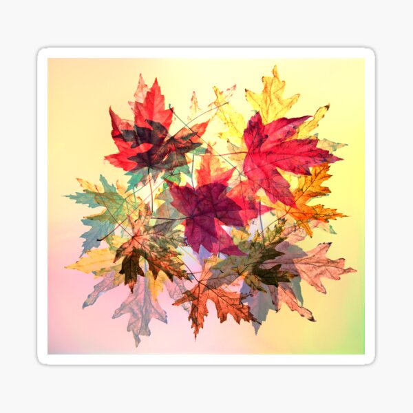 fallen leaves III Sticker