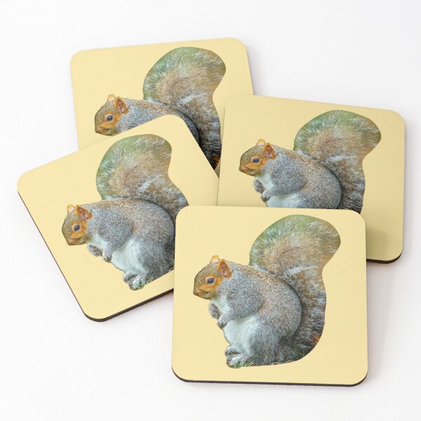 Item preview, Too many Nuts Squirrel designed and sold by Dalyndigital Photography.