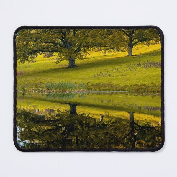 Item preview, Trees, Water, reflections of Autumn designed and sold by Dalyndigital Photography.