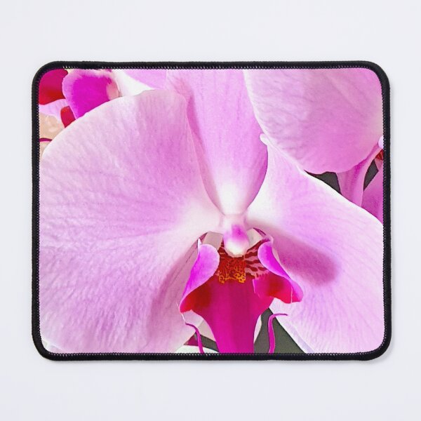 Item preview, pink orchid designed and sold by Tereza Pilar Art.