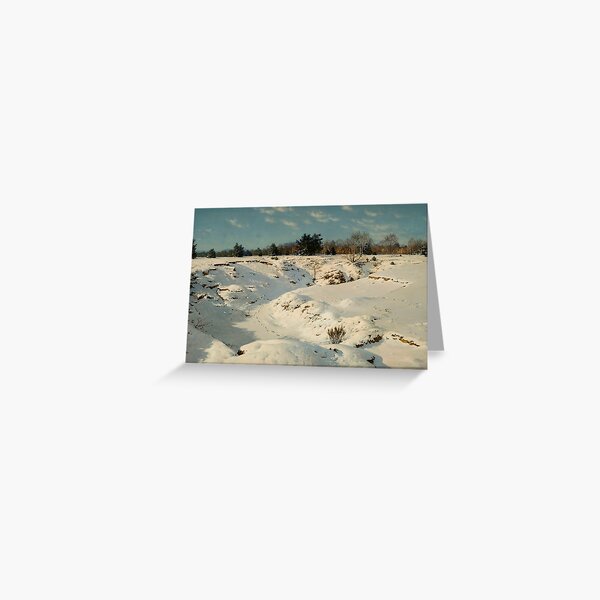 Winterlandschap Greeting Card