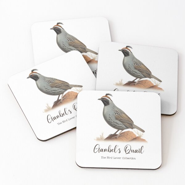 Item preview, Gambel's Quail - The Bird Lover Collection designed and sold by GoodOldVintage.