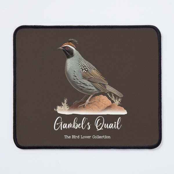 Item preview, Gambel's Quail - The Bird Lover Collection designed and sold by GoodOldVintage.