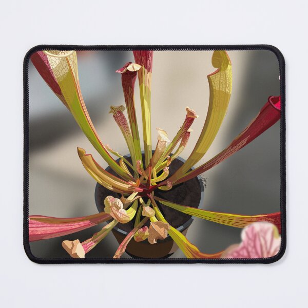 Item preview, Sarracenia  designed and sold by Purplepugprints.